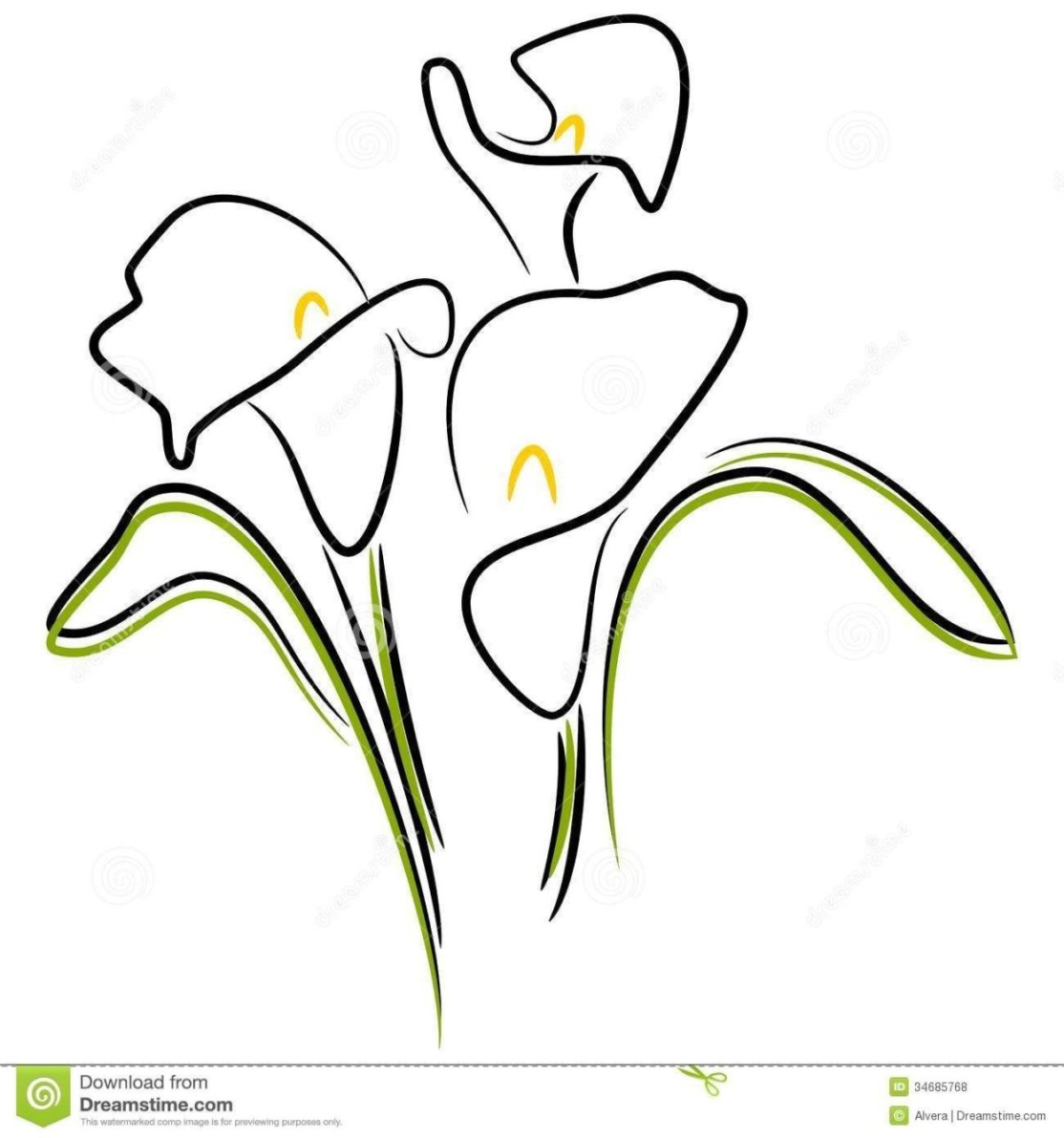 Калла цветок контур