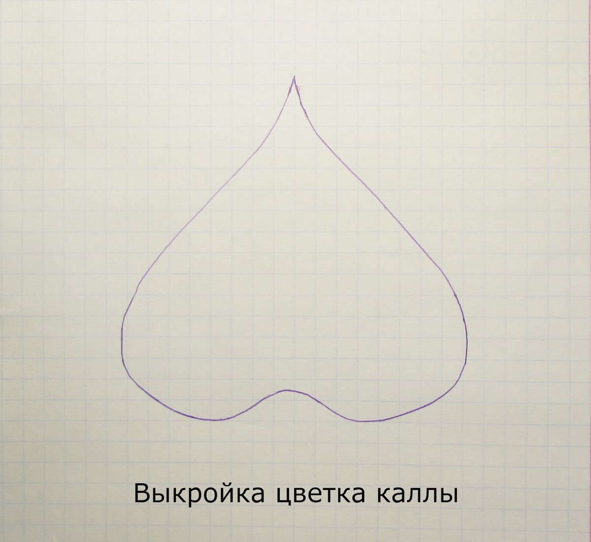 Трафарет цветка каллы