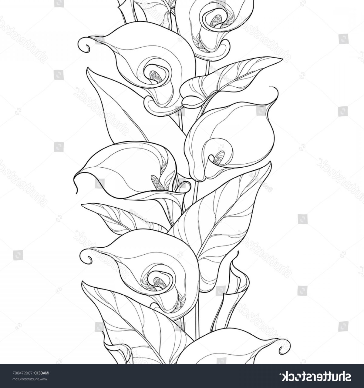 Орнаменты для рисования цветов для каллы