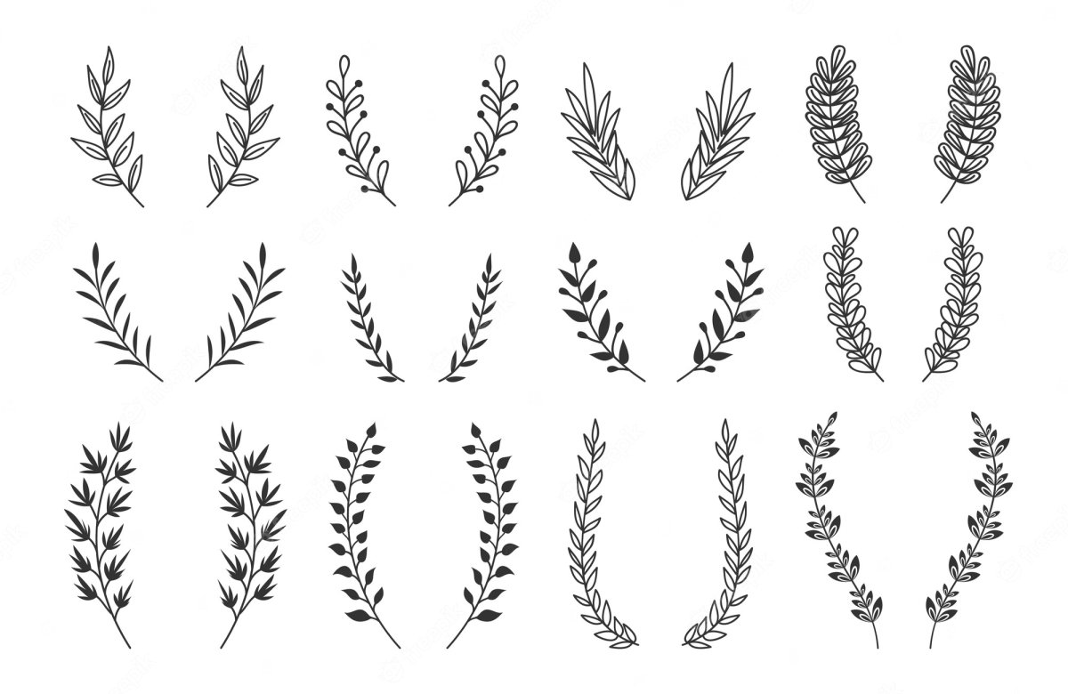 Лавровая Векторная веточка горизонтальная