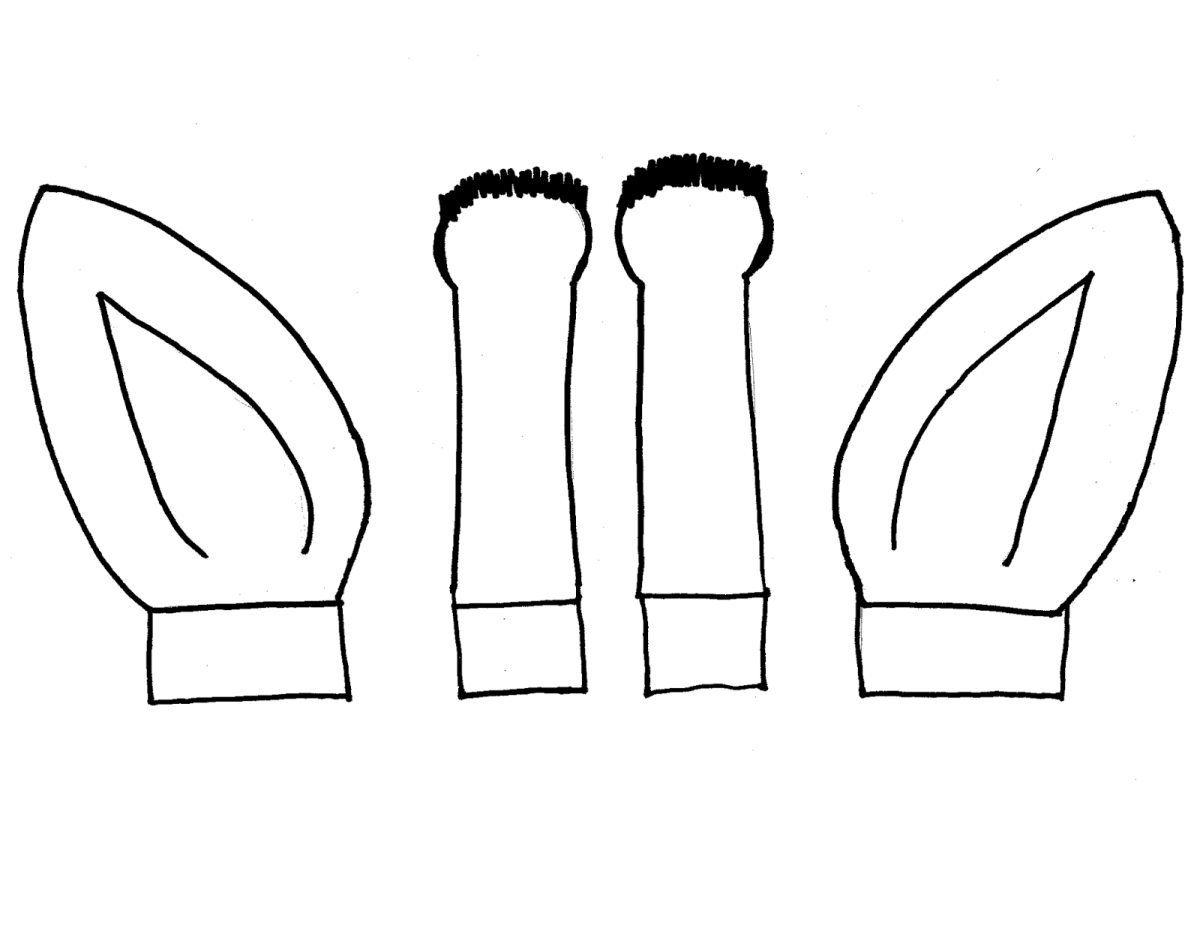 Мордочка пасхального зайца