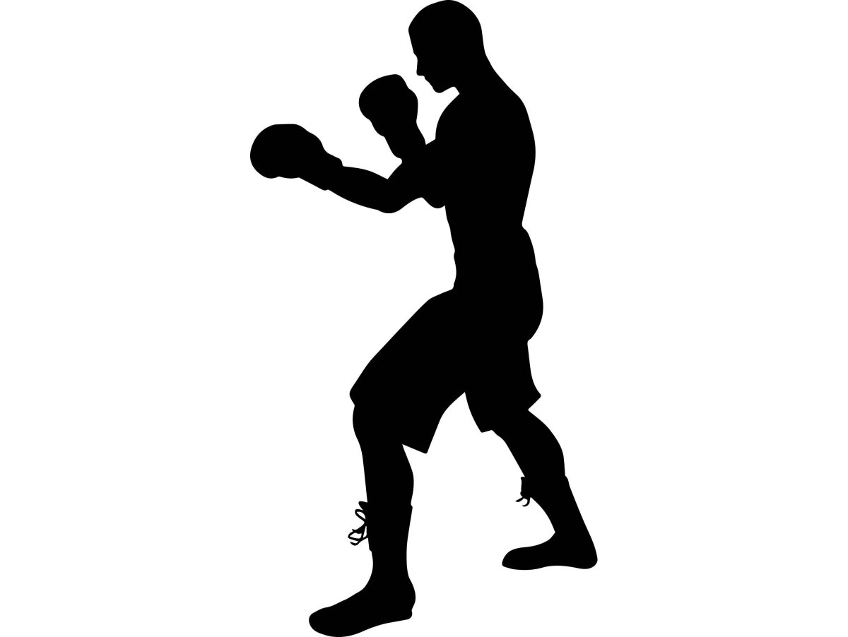 Боксер в стойке вектор