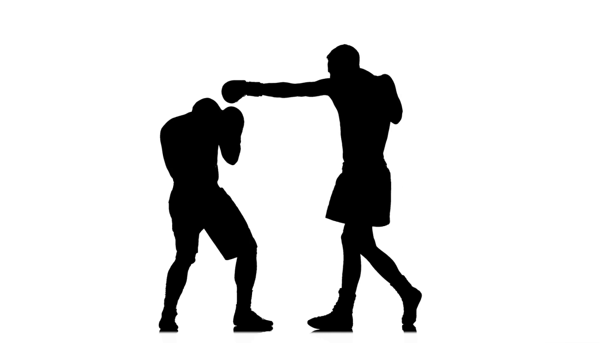 Боксер на белом фоне