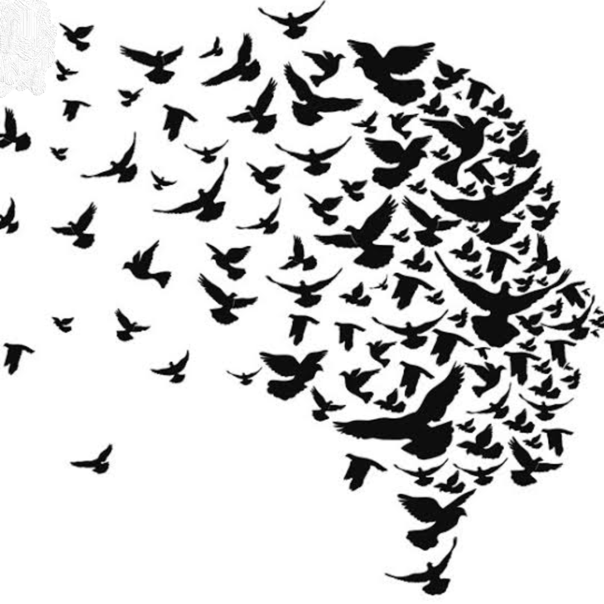 Птицы разлетаются силуэт