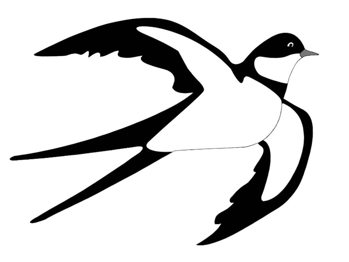 Силуэт птицы