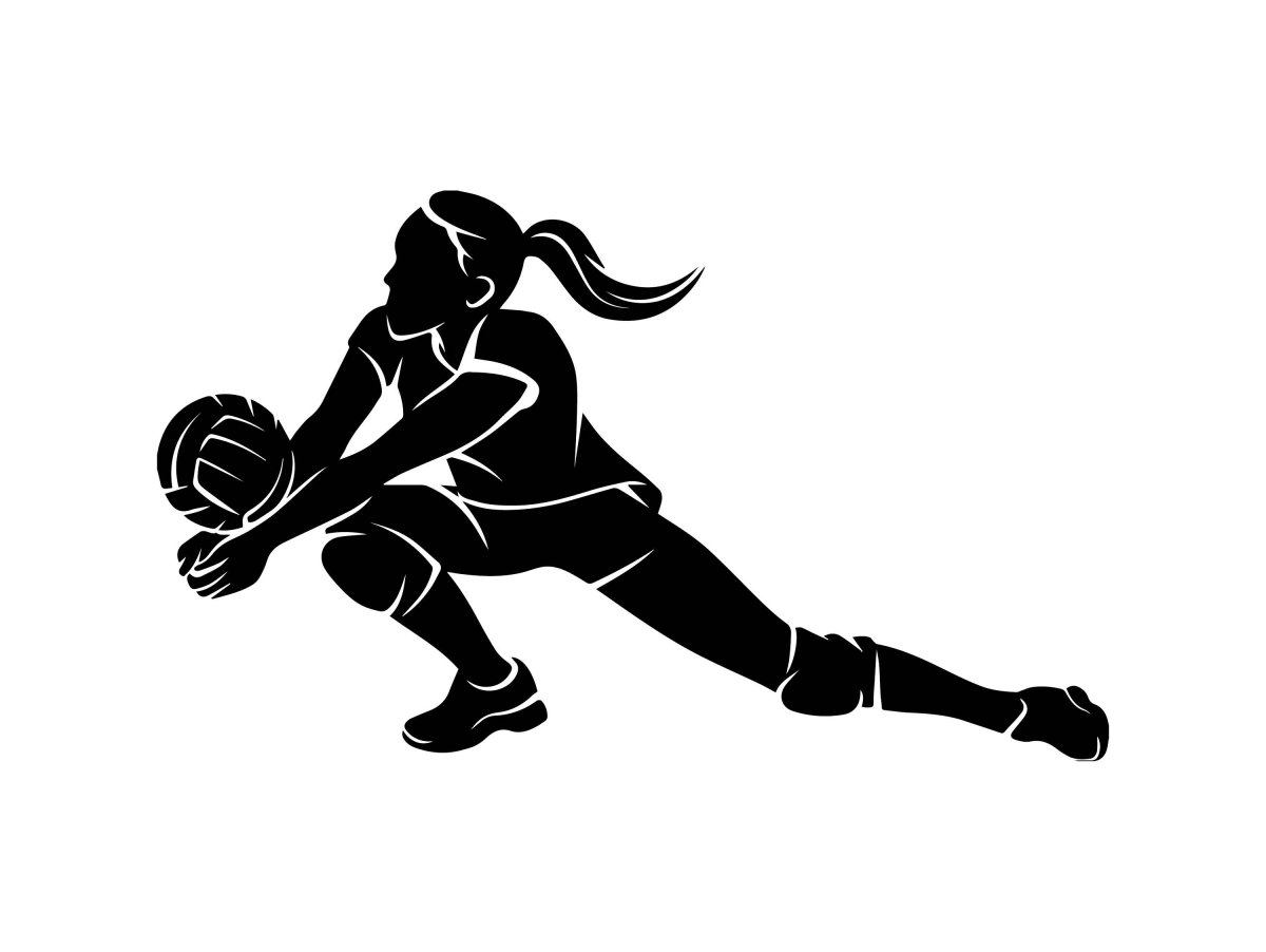 Волейбольный мяч черно белый