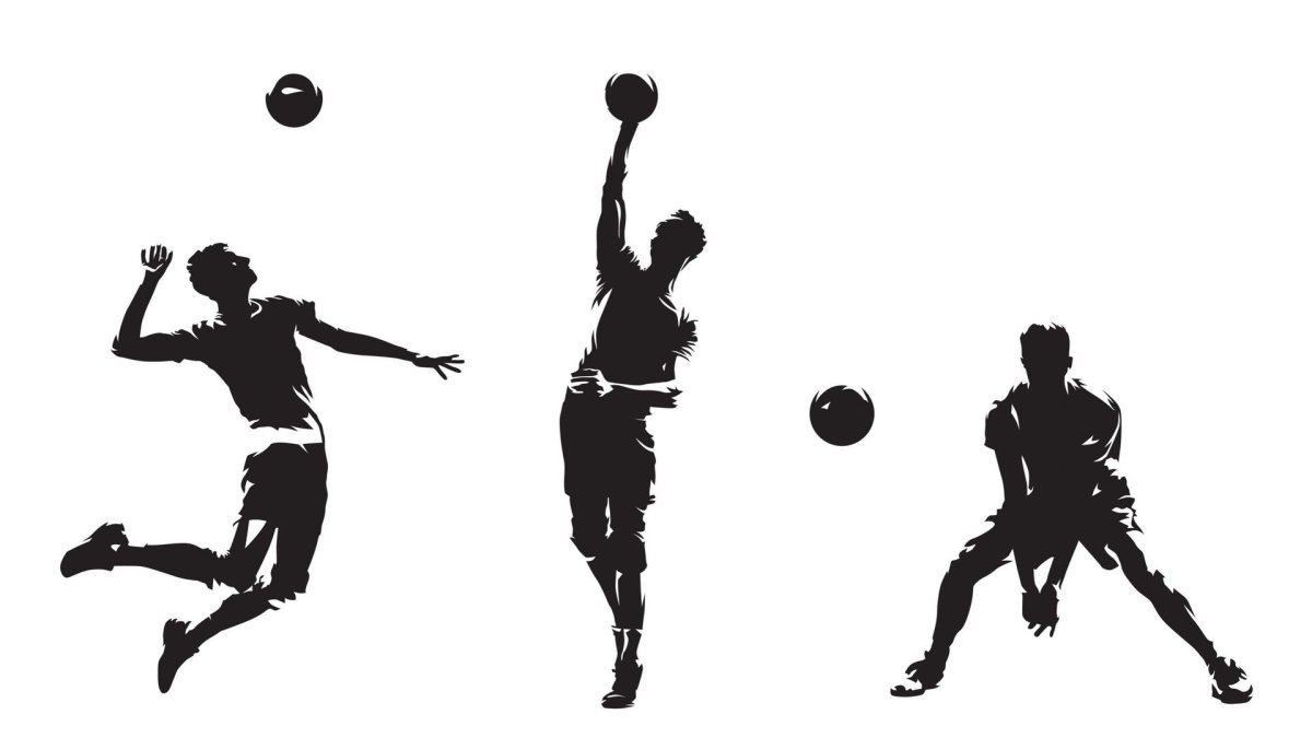 Спортивные силуэты