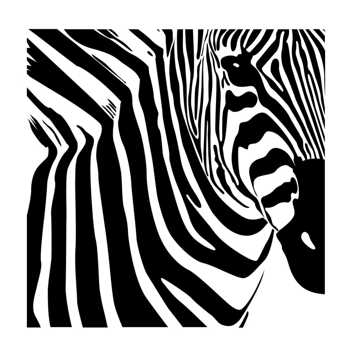 Трафарет Зебра