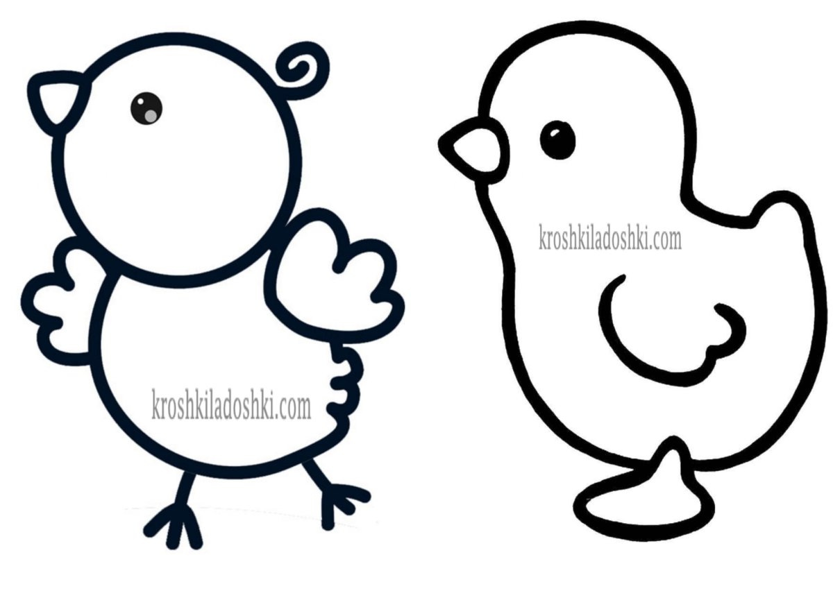 Цыпленок контур