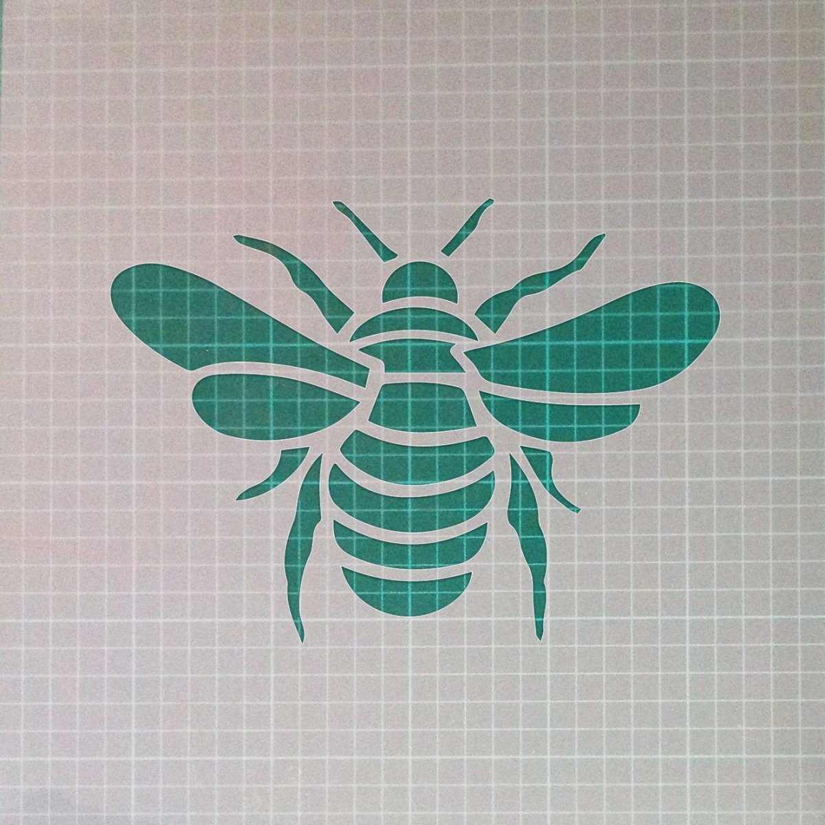 Трафарет "насекомые"