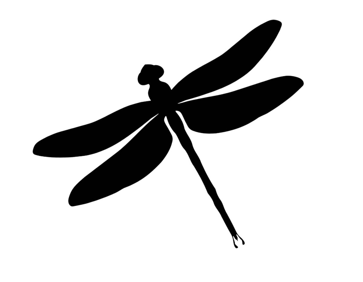 Очертание Стрекозы
