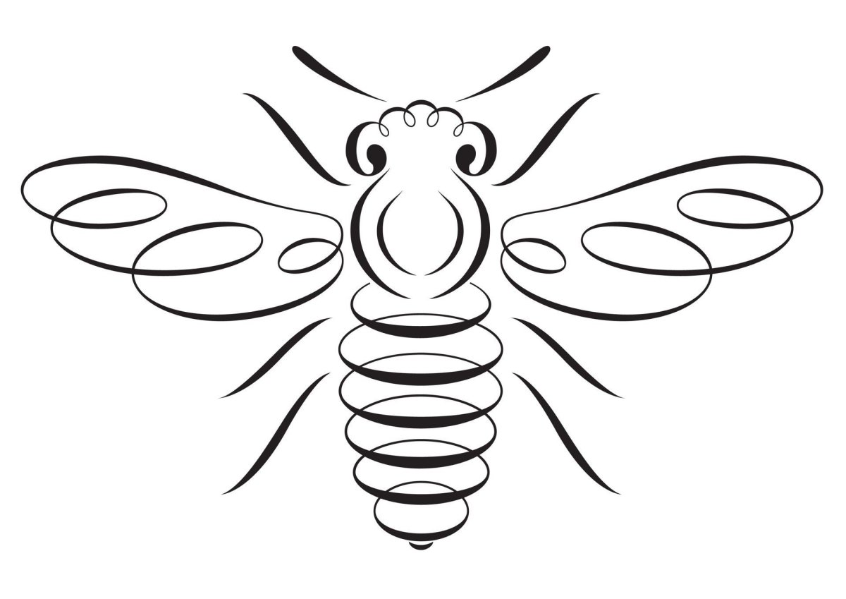 Стилизованные насекомые