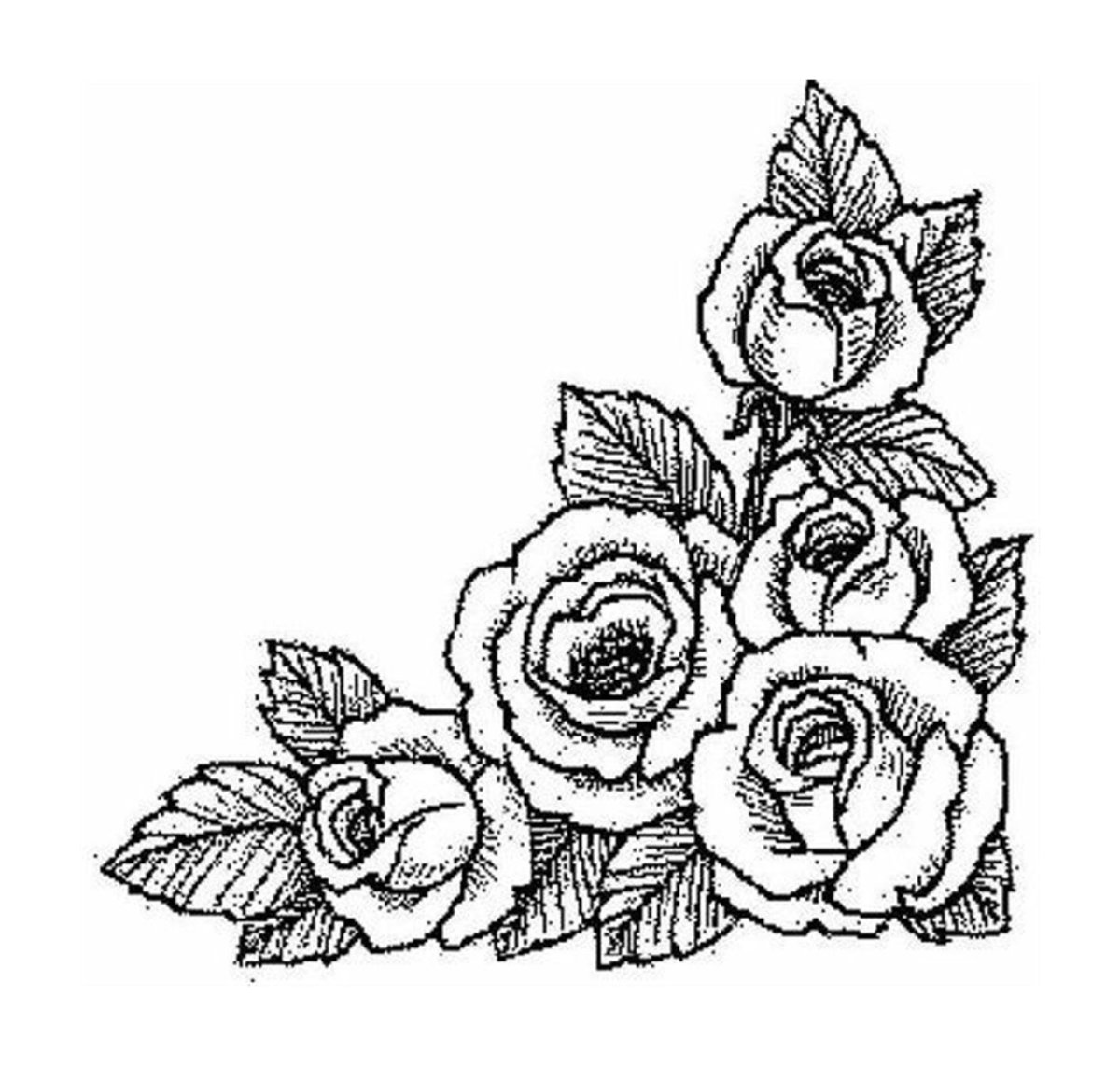 Трафарет розы для вышивки гладью