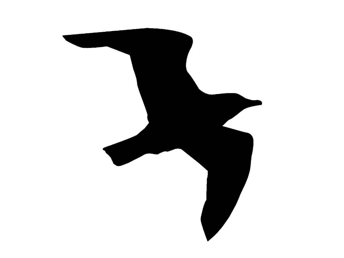 Логотип Чайки