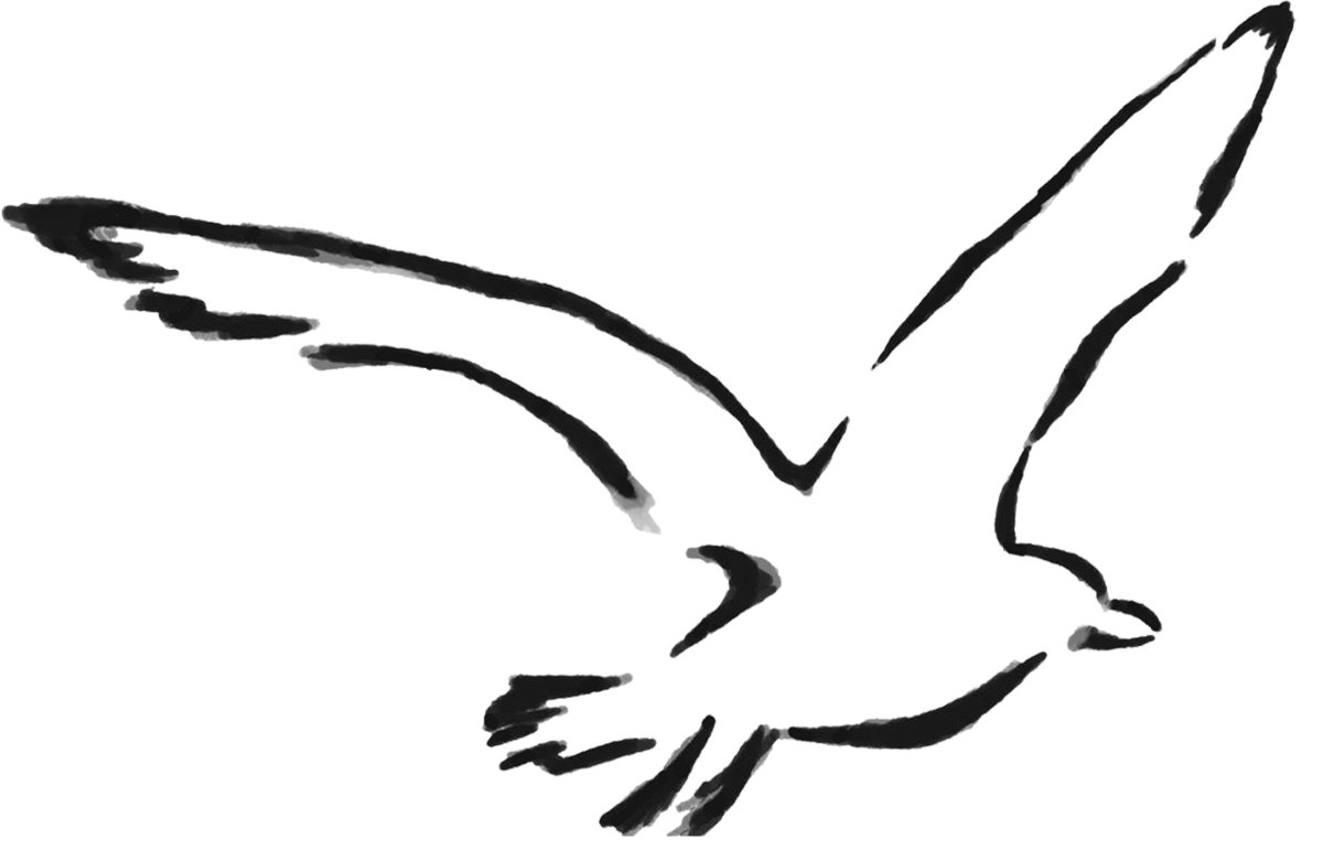 Контур Чайки