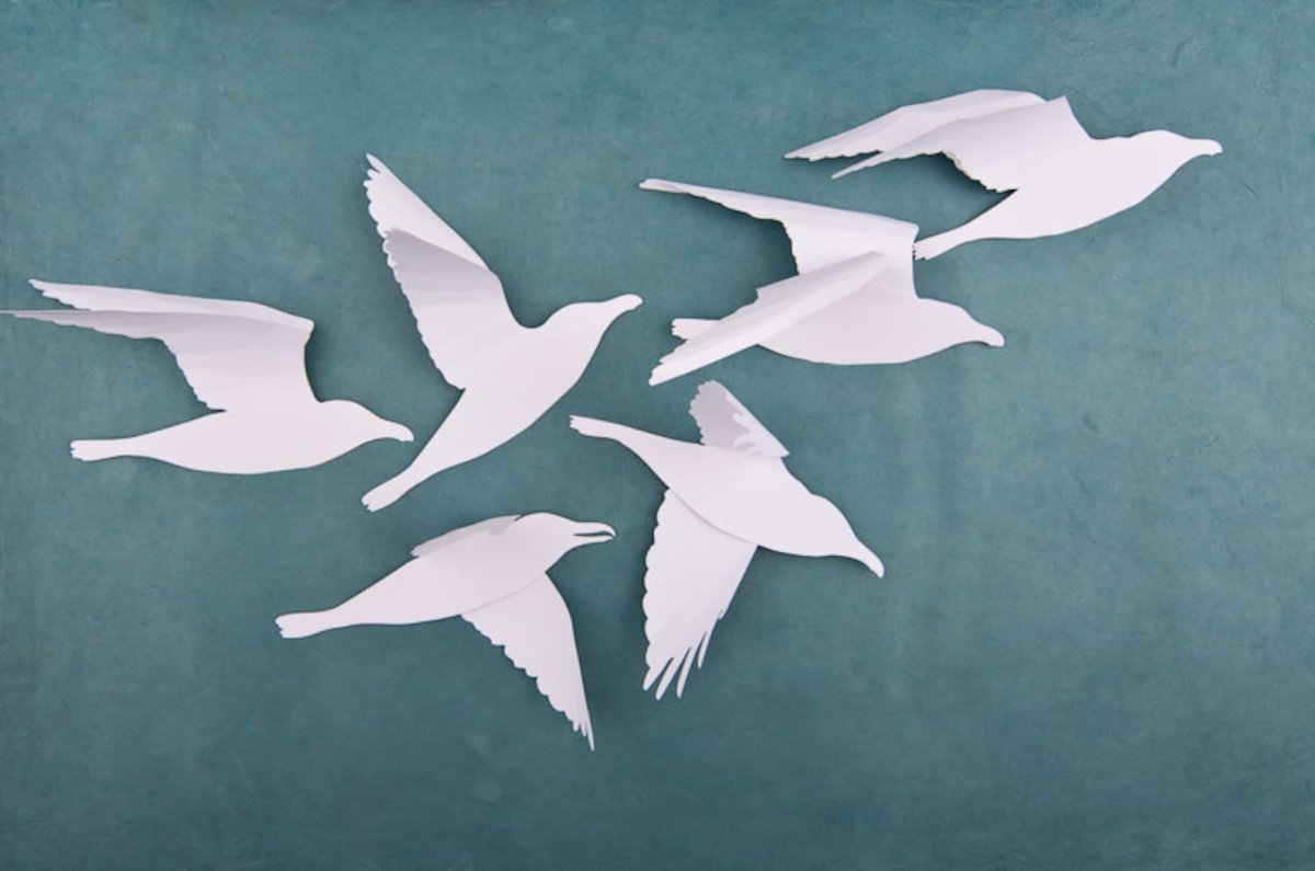 Шаблон Чайки