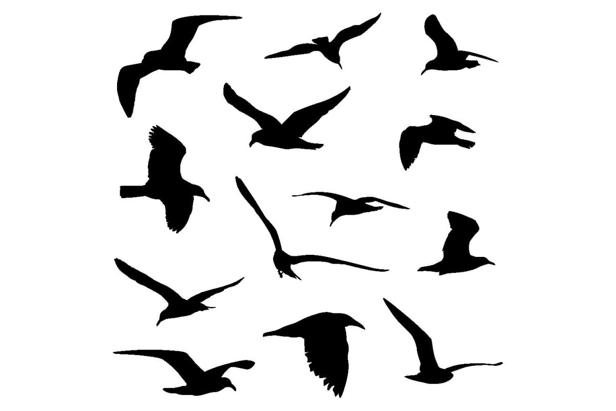 Птицы над морем вектор