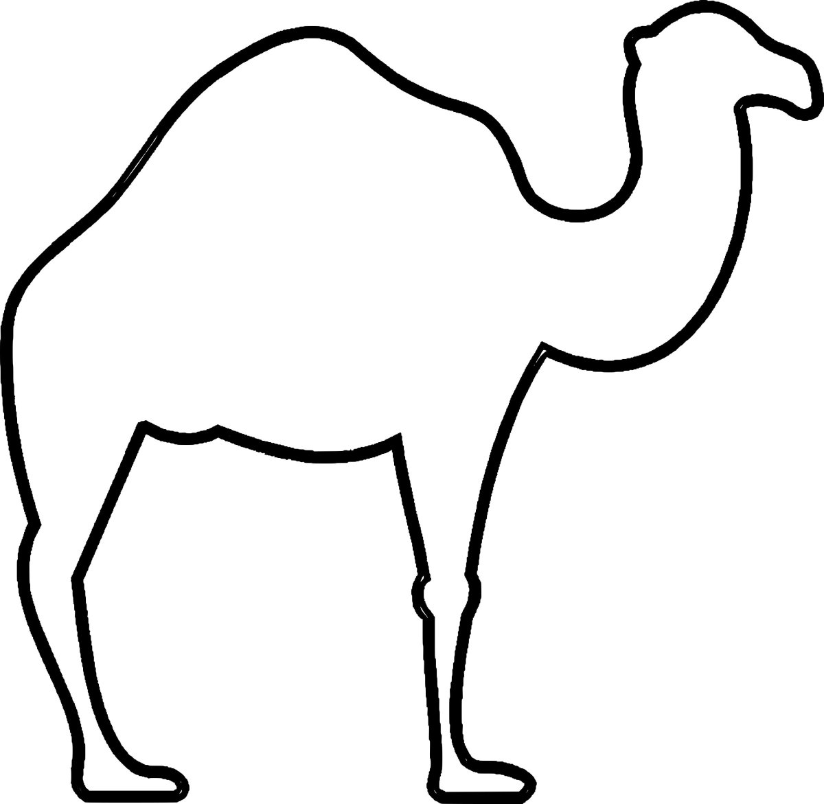 Верблюд раскраска