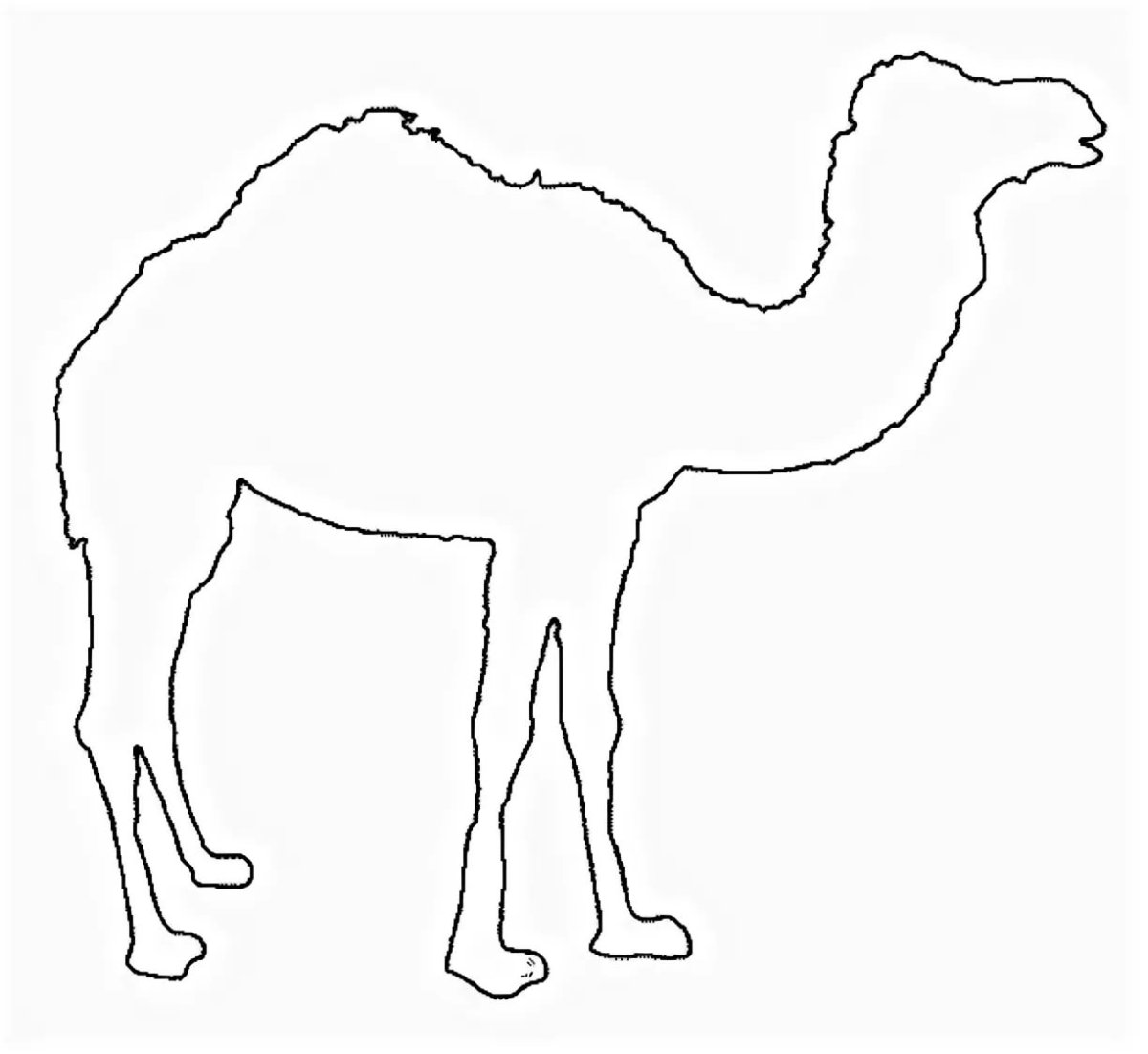 Верблюд трафарет