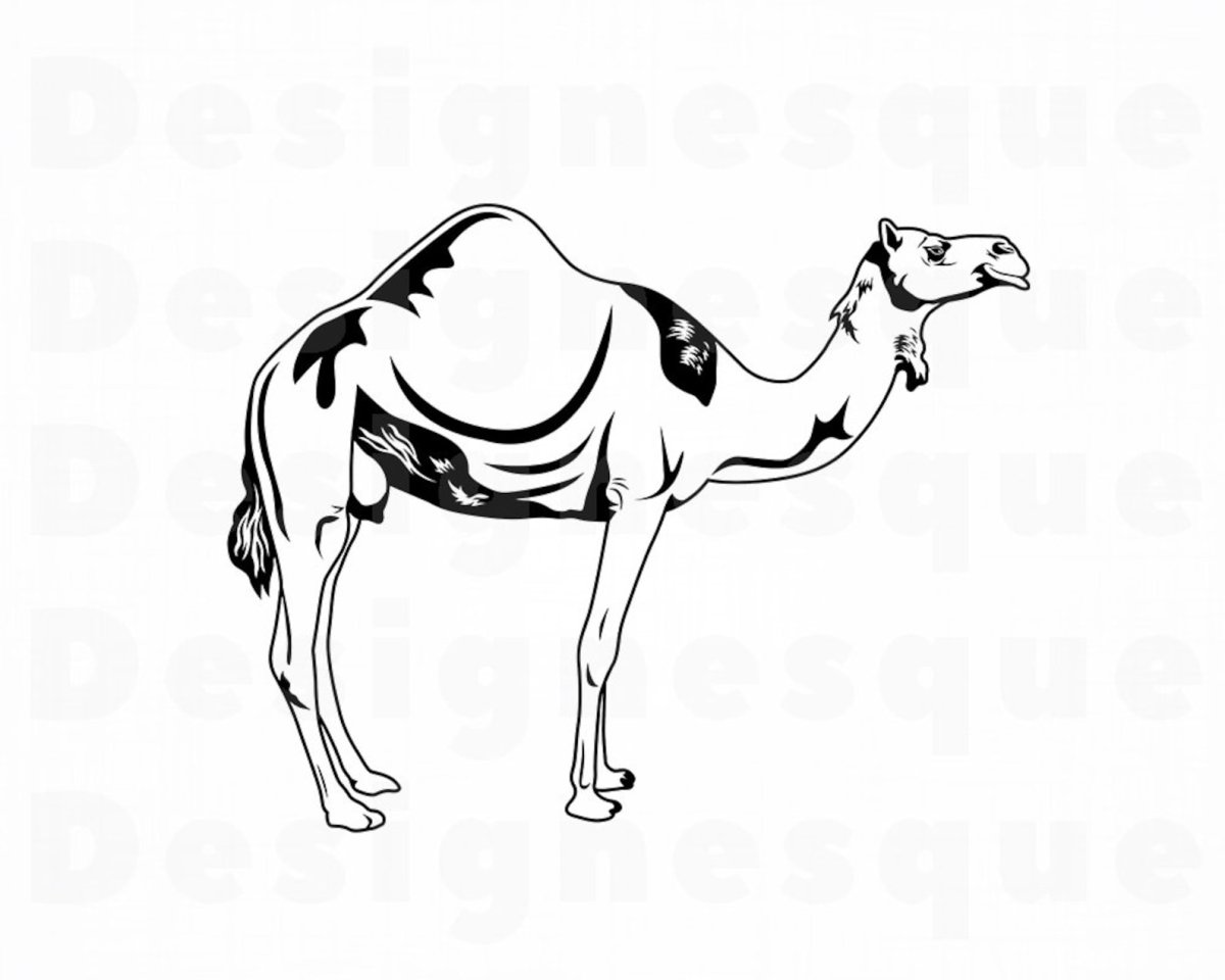 Верблюд голова силуэт