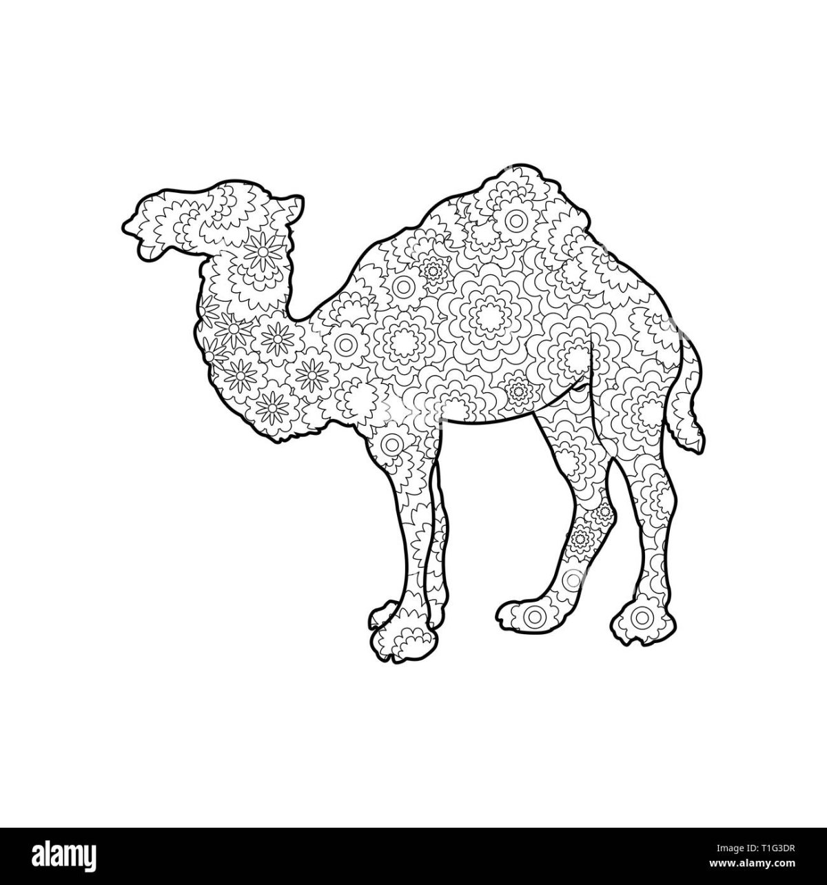 Мозаика рисунки верблюд