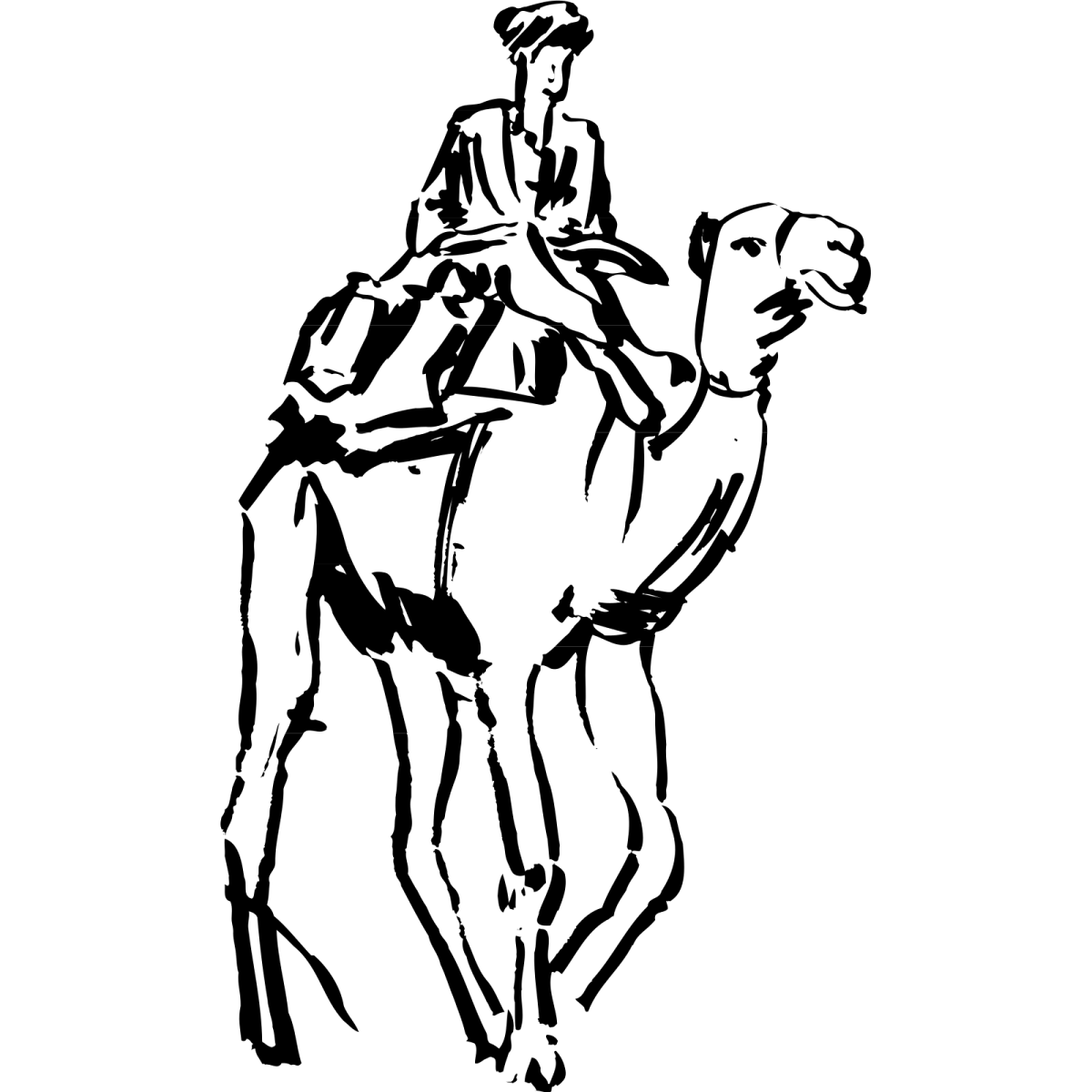 Верблюд с всадником фронтально