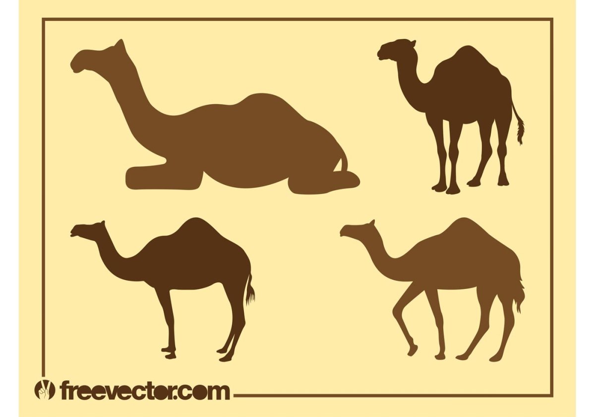Верблюд стилизация