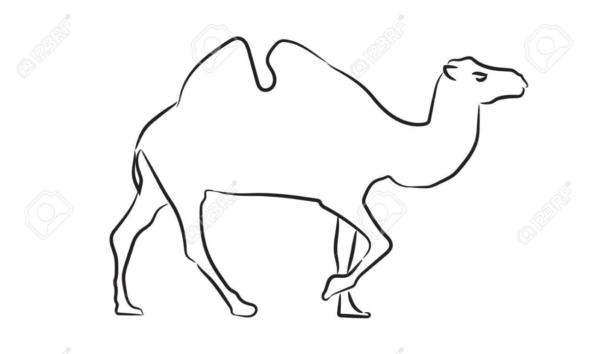 Силуэт верблюда легкий