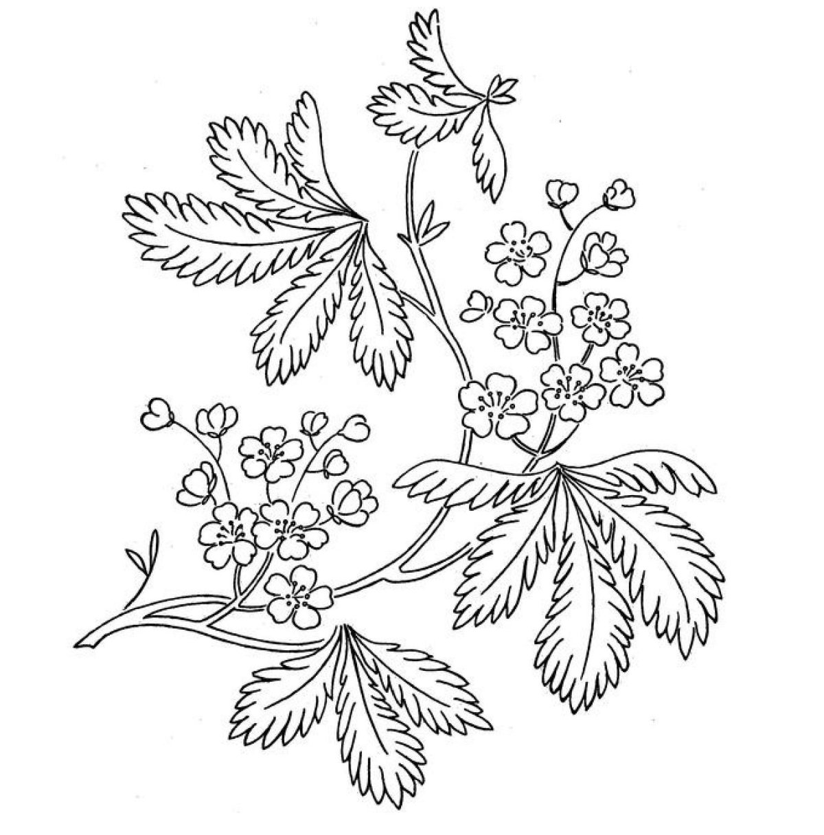 Узоры для люневильской вышивки трафарет