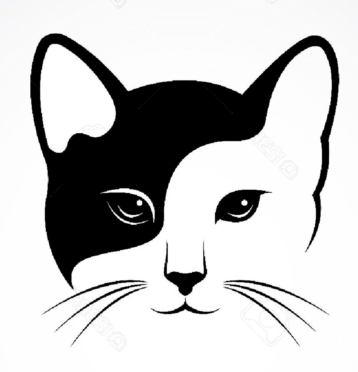 Мордочка котика контур