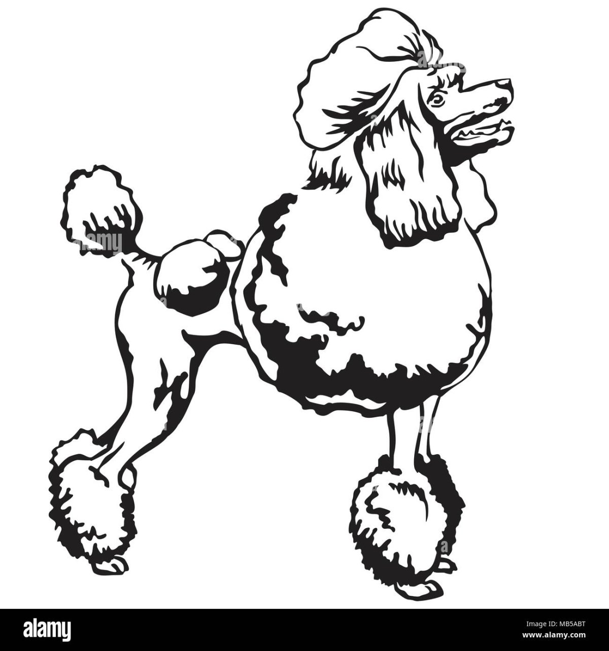 Тату силуэт пуделя