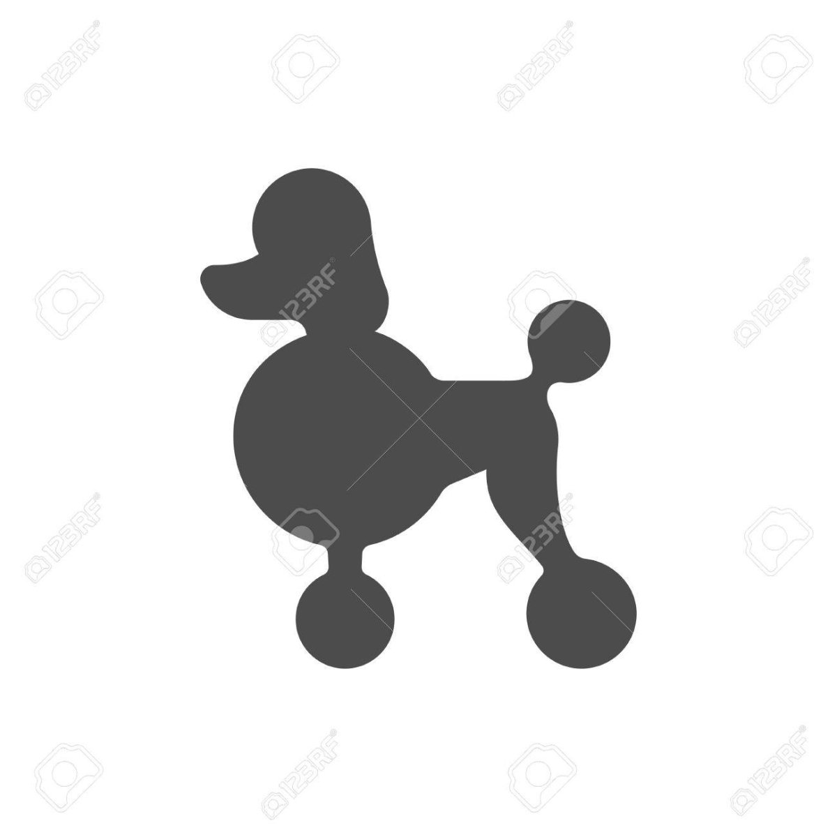 Собака пудель раскраска для детей