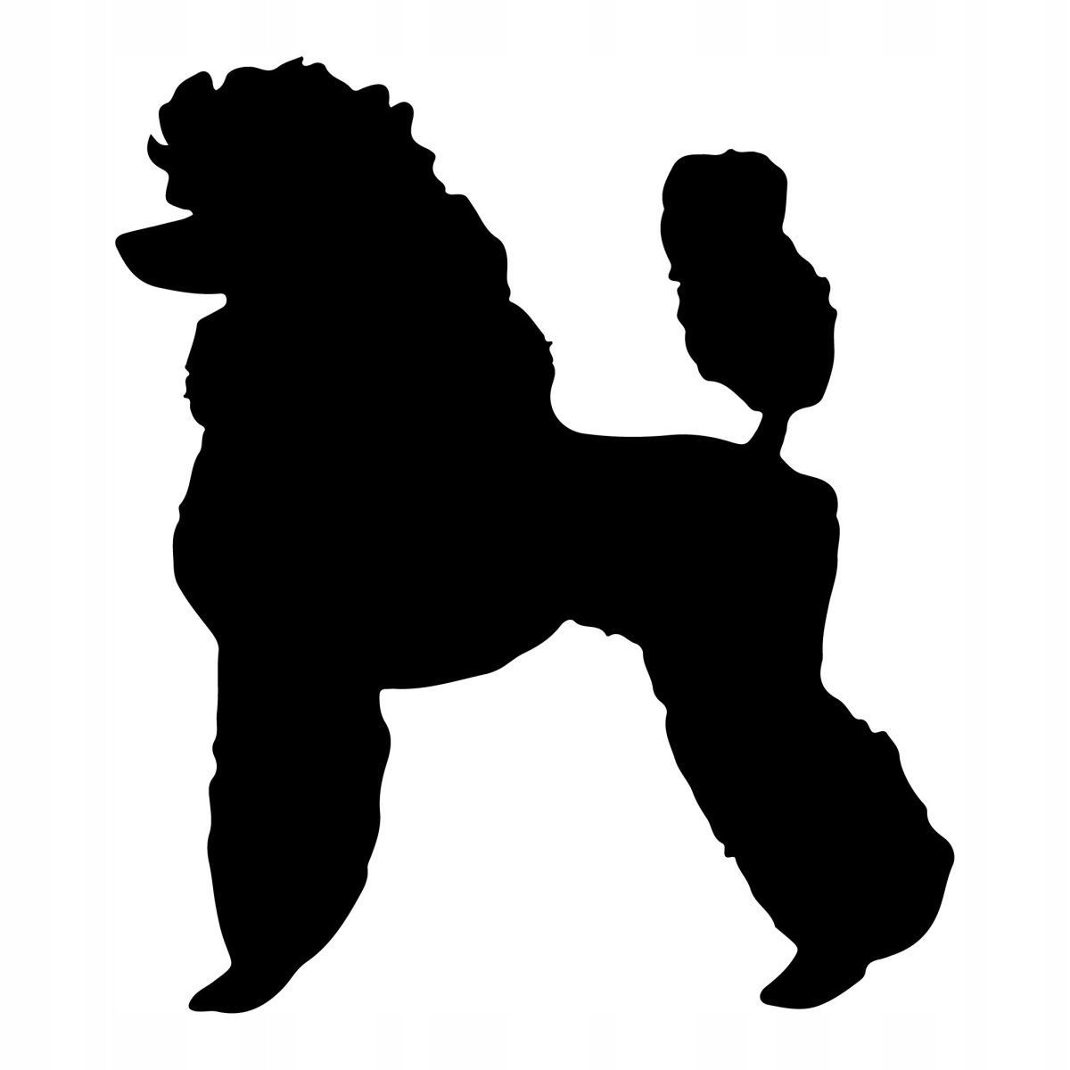 Пудель вектор