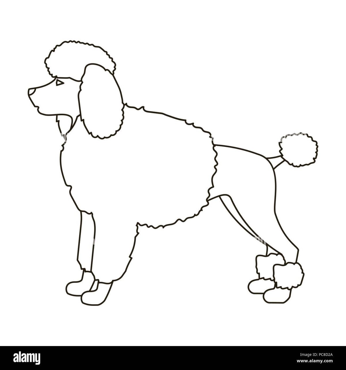 Трафарет пуделя для аппликации