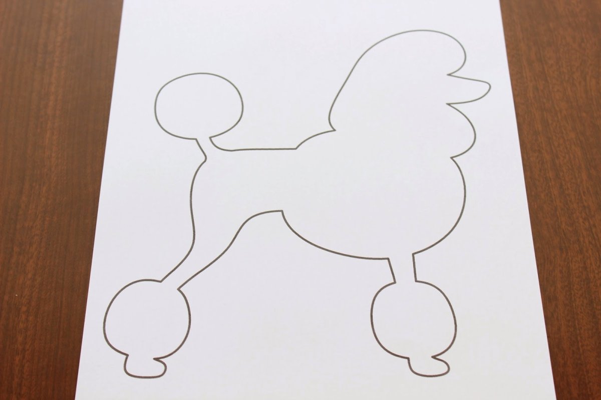 Пудель векторный рисунок