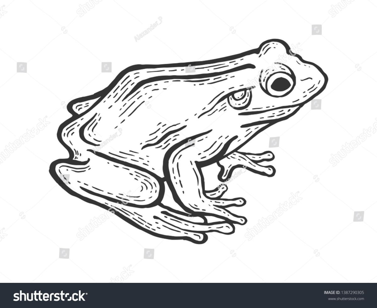 Лягушка стилизация