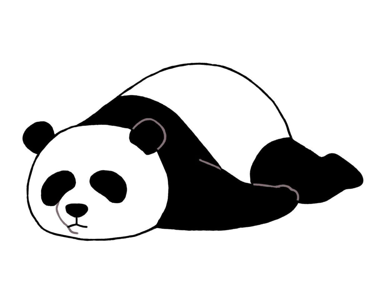 Черно белые рисунки простые