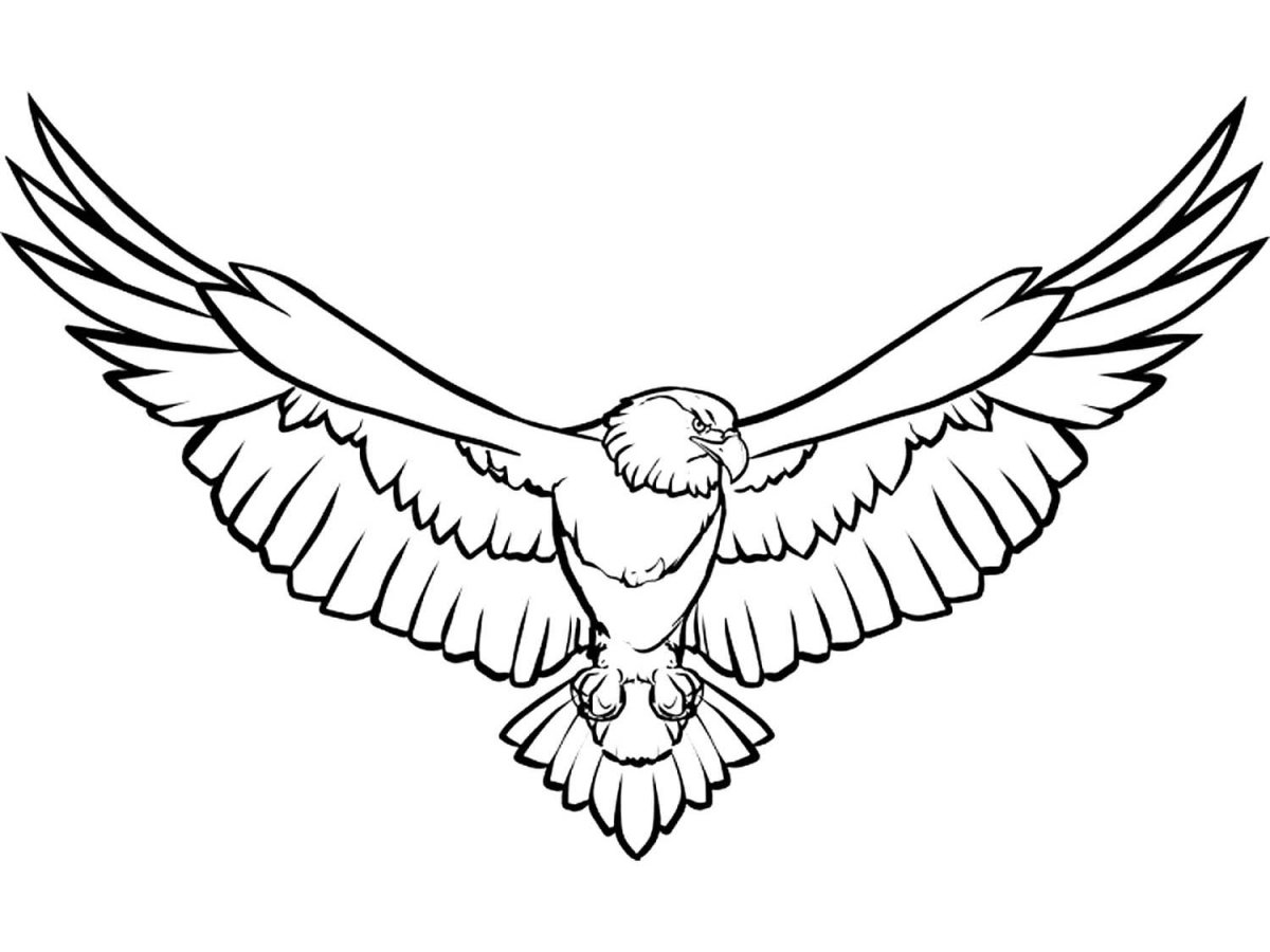 Орел карандашом