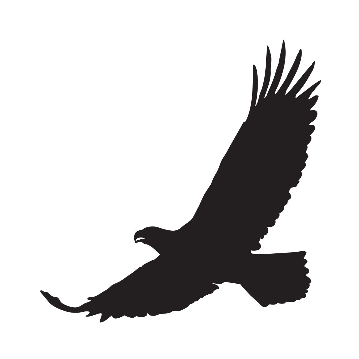 Силуэт орла спереди