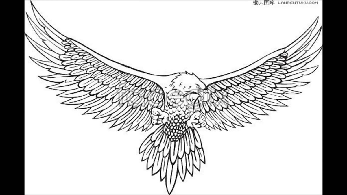 Орел эскиз