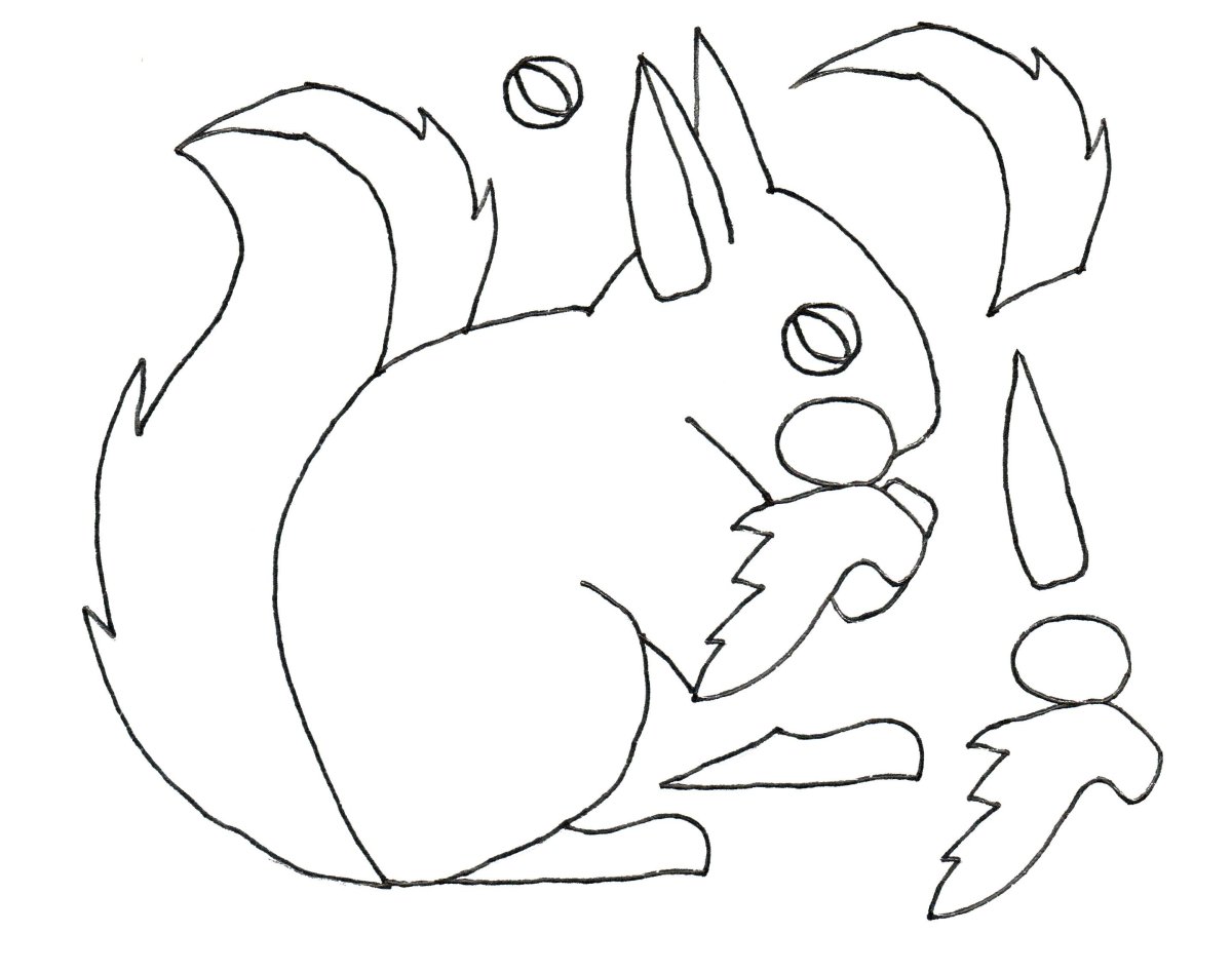 Белочка раскраска для детей