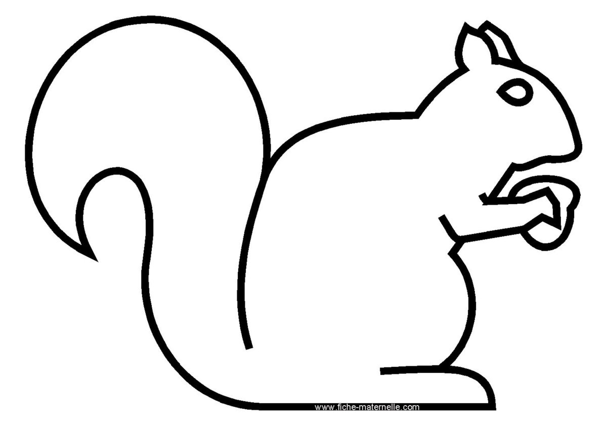 Шаблон белки