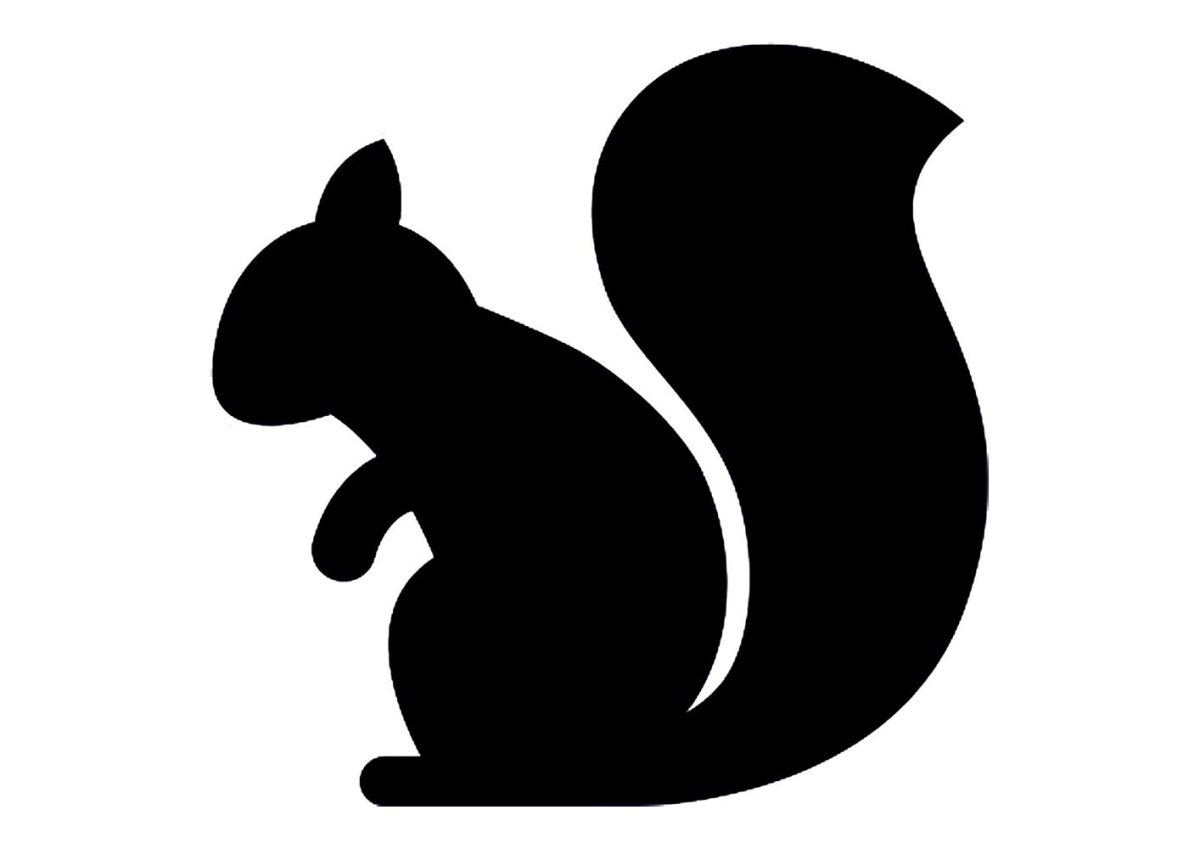 Белка контур