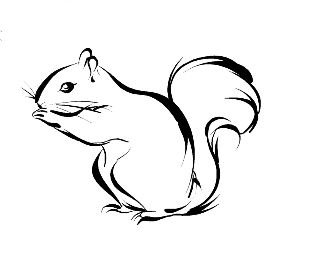 Контуры животных