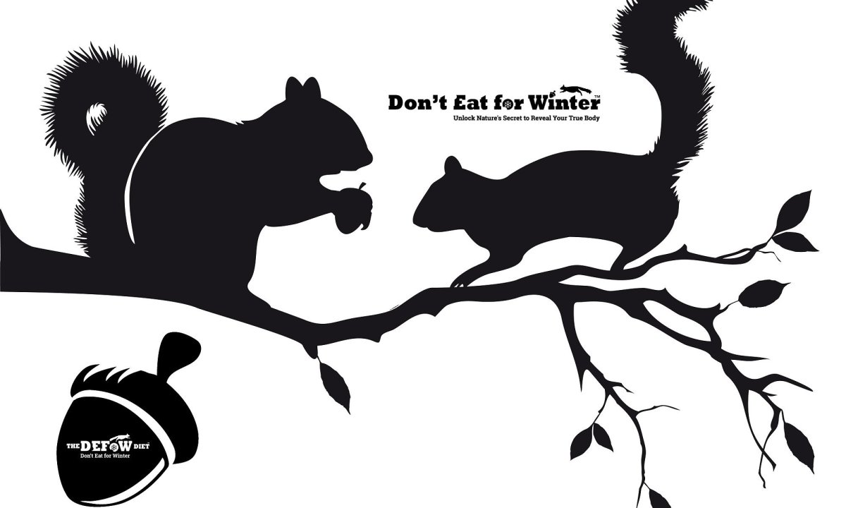 Белка на ветке силуэт