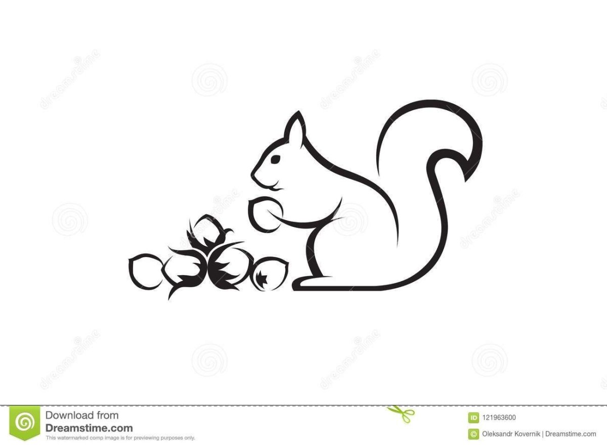 Белка схематично