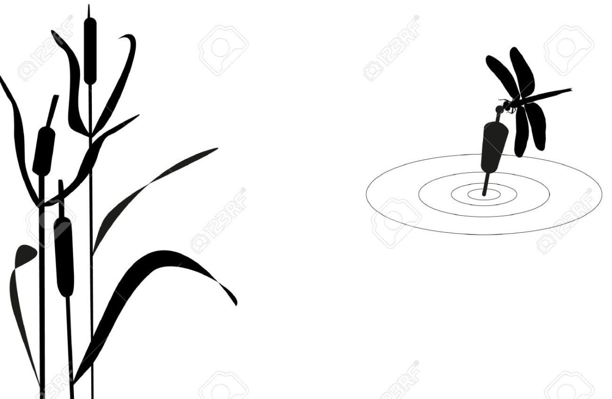 Трава раскраска