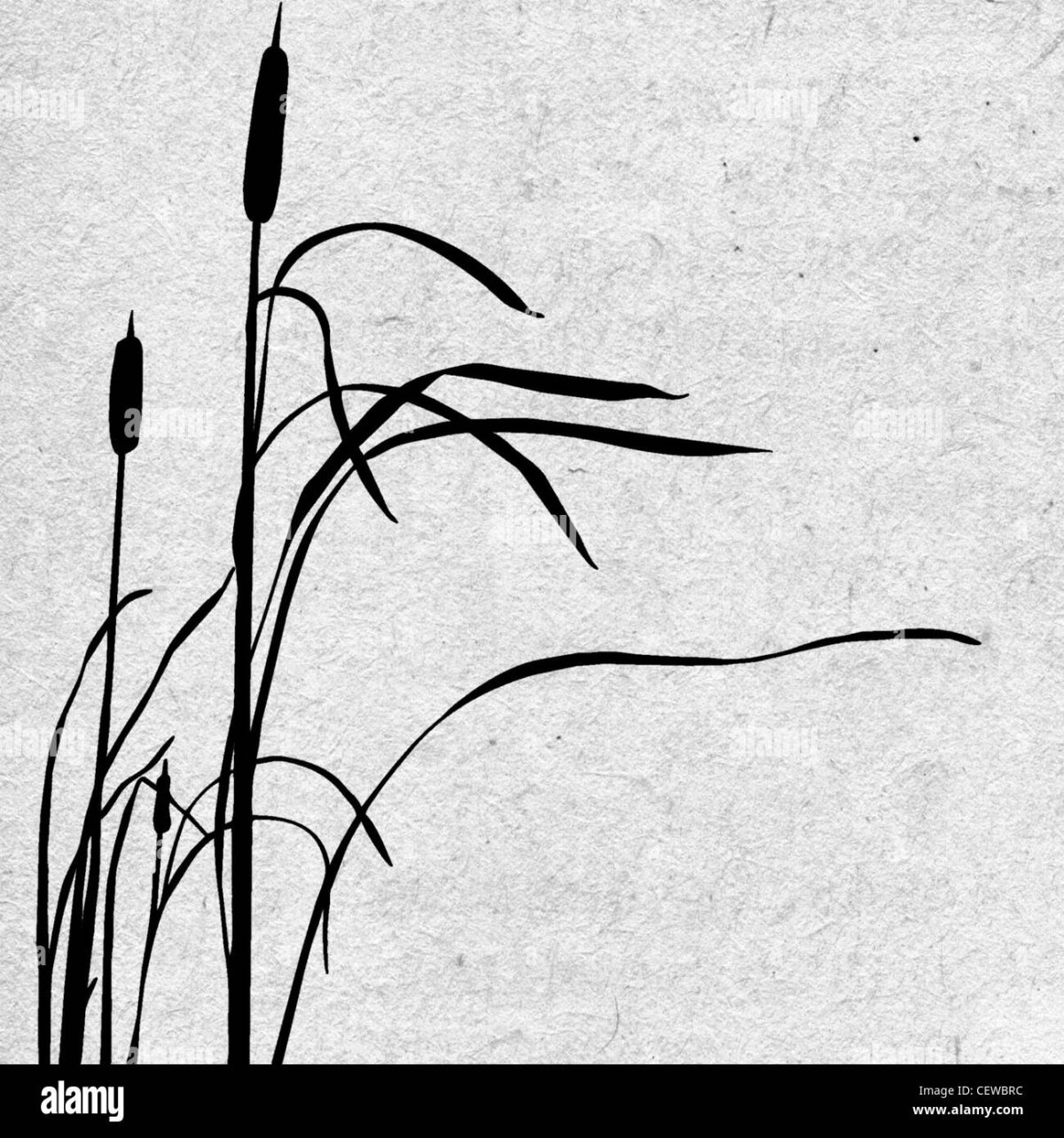 Камыши силуэт