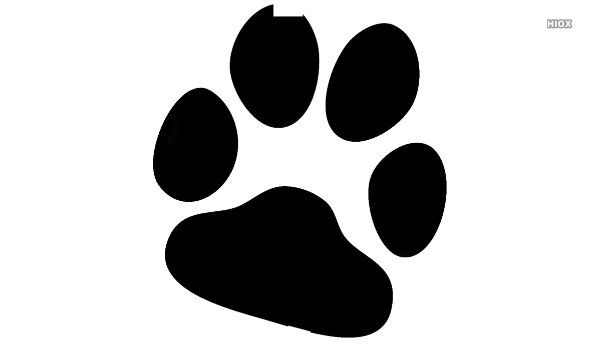 Отпечаток лапки котика