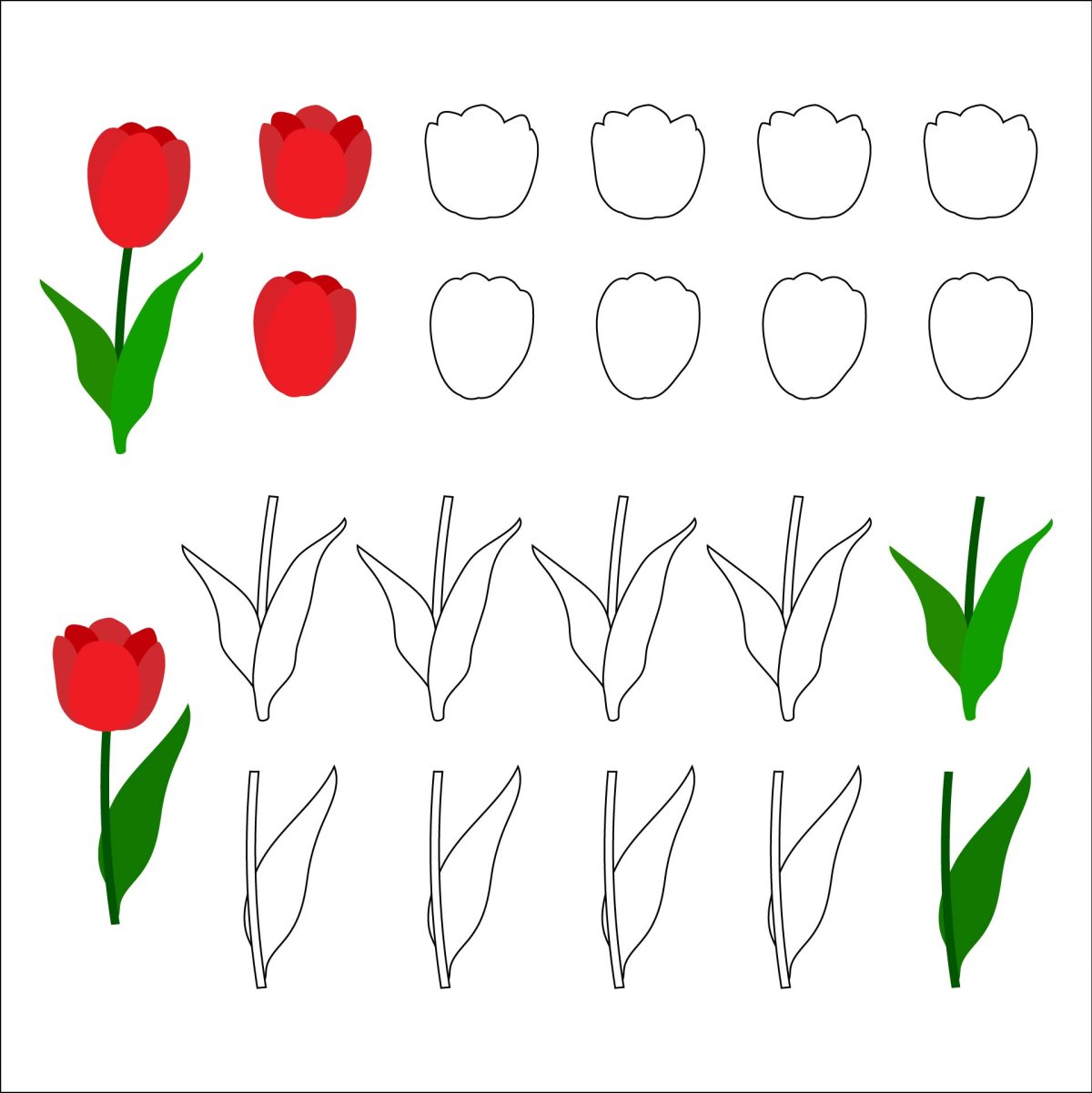 Трафарет тюльпана для аппликации